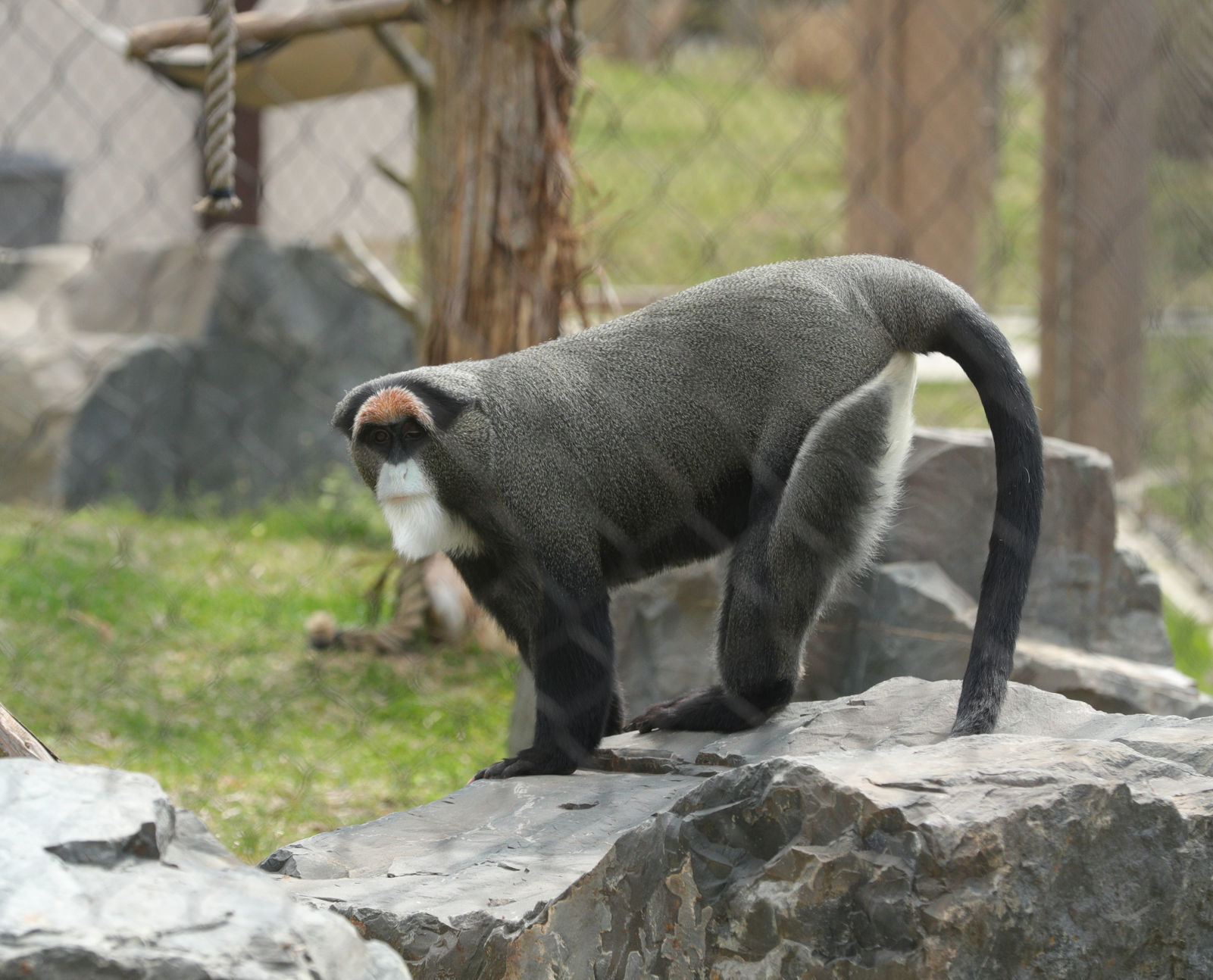 Cape May Zoo